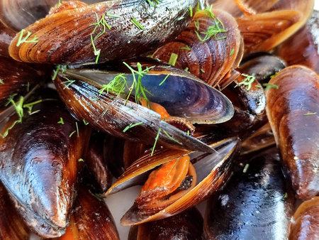 Fresh mussels with dill and parsley as background, closeupの写真素材