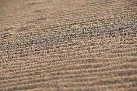 Close up beach sand texture with wavy ripple surface. Summer holiday travel concept.の写真素材