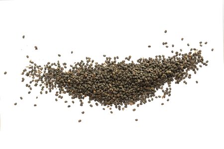Babchi dry whole seeds isolated on white background. Bakuchiol concept. Design template.の写真素材
