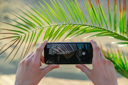 Man hands hold smartphone close to palm tree leafs taking a picture. Focus on smartphone screen, blurred background.の写真素材