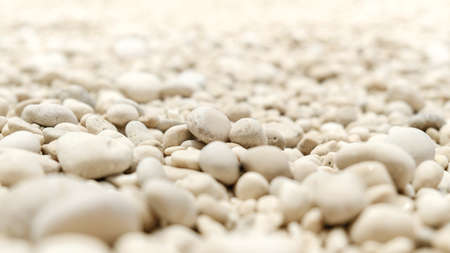 White round pebbles.の写真素材