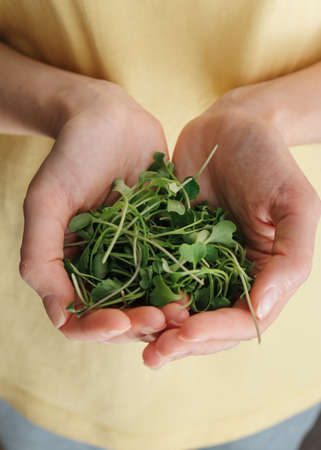Woman holding plastic broccoli sprouts.の写真素材