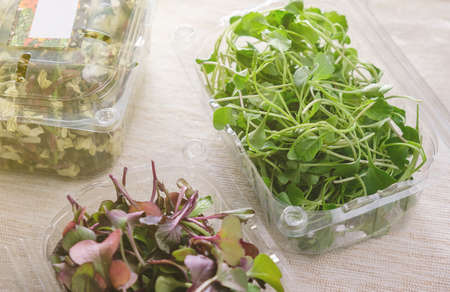 Microgreens in plastic containers.の写真素材