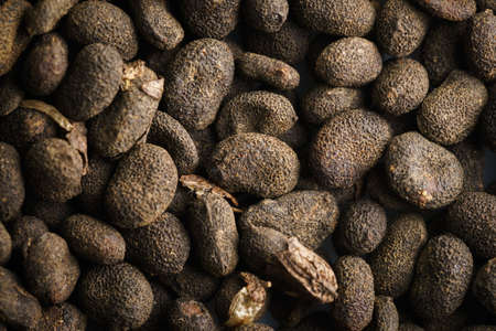 Dry seeds of Bakuchiolの写真素材