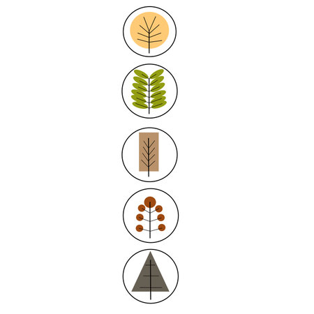 A set of icons of different types of trees on a white backgroundの写真素材