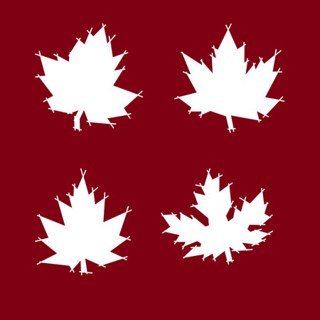 Maple leaf vector icon set. White silhouette on red background.の写真素材