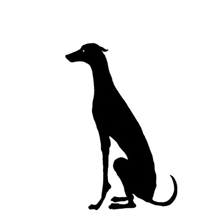 Black dog sitting side view drawingの写真素材