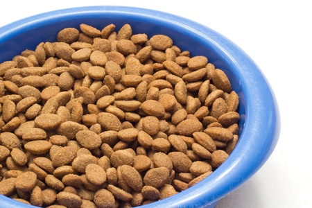 Bowl of Dog Foodの写真素材