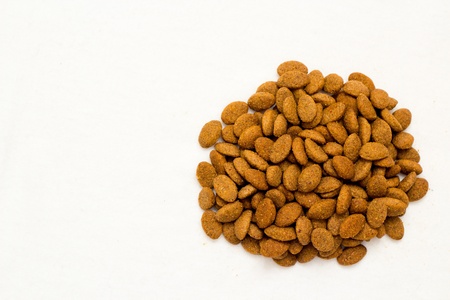 Dog Foodの写真素材