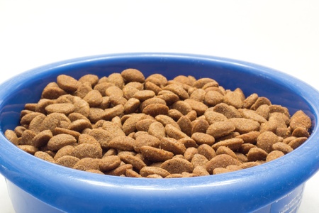 Dog Foodの写真素材