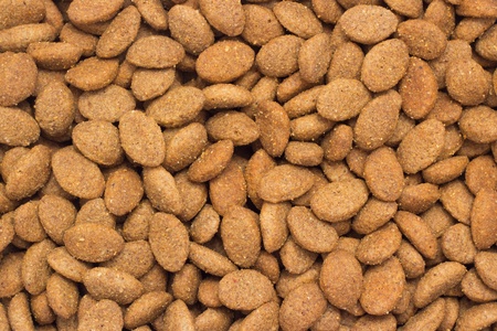 Dog Foodの写真素材
