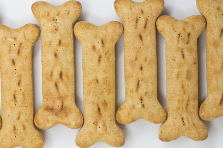 Dog Bones