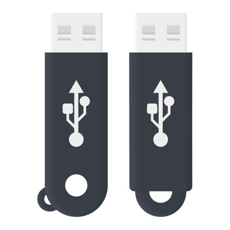 USB Flash disk Data Transfer Black Vector. Portable Storage Flash disk. USB File Storage.