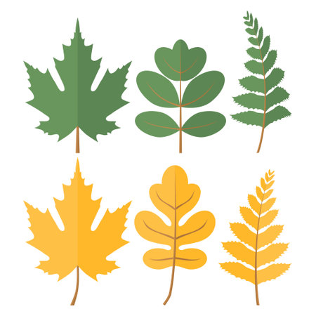 Green Yellow Leaf Vector. Falling Leaf Material. Green Leaf Decoration.のイラスト素材