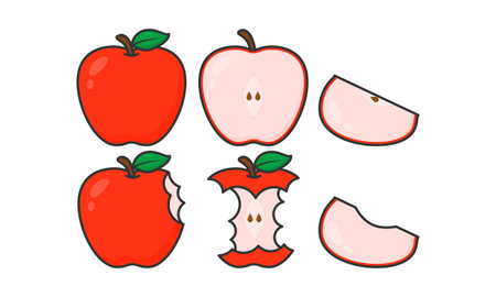 Collection of Whole Red Apples, Cut in Half, and Sliced Vector. Cartoon Style. Suitable for Healthy Fruit, Icons, and Food Themes.のイラスト素材