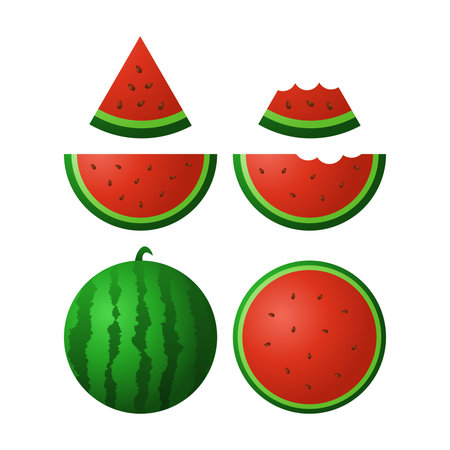Watermelon with Various Cuts Vector. Perfect for Summer, Freshness, and Healthy Fruit. Sweet Watermelon.のイラスト素材