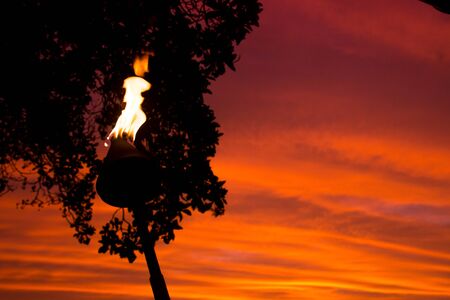 Colorful sunset with the silhouette of a tree in the background and a branding fakel in the...