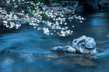 Hangzhou taiziwan in the early morningの写真素材