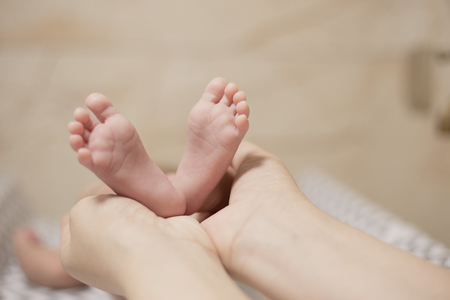 Hands holding baby's feetの写真素材