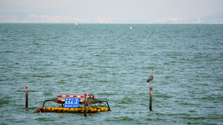 Blue Heron on a buoy in the middle of the sea.の写真素材