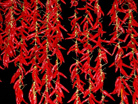 red in darkの写真素材