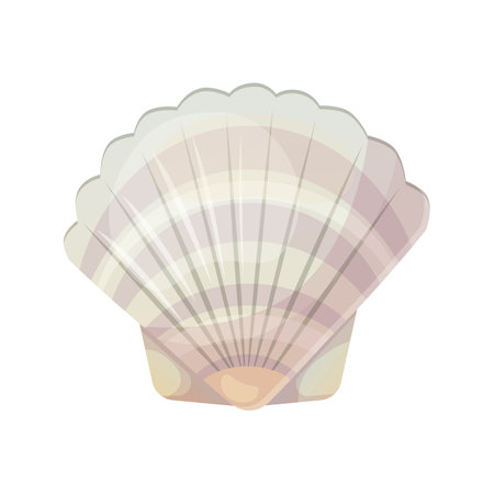 Colorful tropical shell.Summer concept in cartoon style. Vector illustration isolated on white background.のイラスト素材
