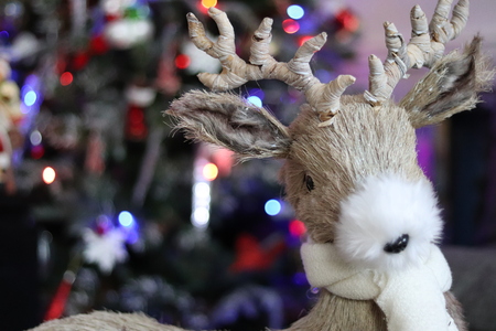 Reindeer Standing In Front Of Christmas Treeの写真素材