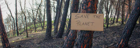 burnt forest with save the planet signの写真素材
