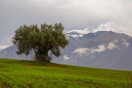 panorama of the majella mountain with snowy peak, italyの写真素材