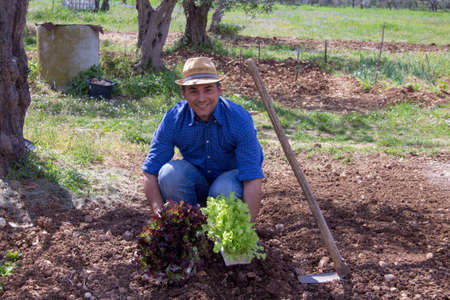 Smiling farmer with straw hat showing salad plants to plant in the vegetable garden after working...