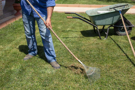 Image of a gardener picking dead and dry grass from his lawn with a rake.の写真素材