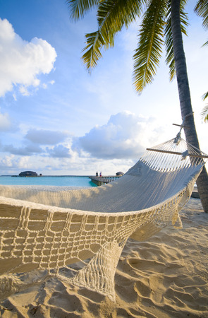 Beach Hammockの写真素材