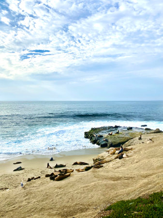 Coastline of the Pacific Ocean in California, United States.の写真素材