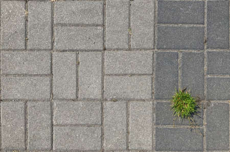 Top view of retro stone path overgrown by grass and herbs. Grunge stone texture of old weathered tiles with a plant growing in soil between tile pavement. Pavement backdrop with copy space.の写真素材