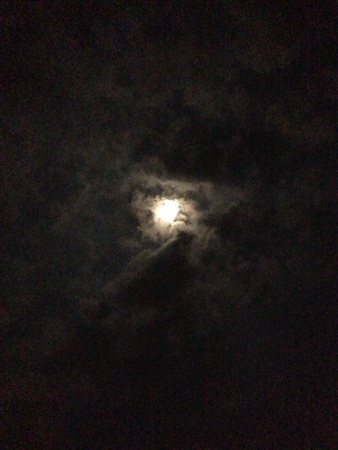 The moon shine like a goldの素材