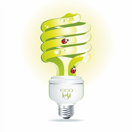 Green bulb with drops of water and a ladybird. Eco symbol.のイラスト素材