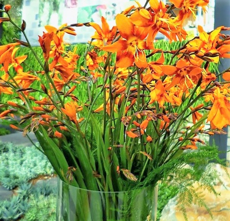 freesia bouquetの写真素材