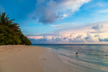 Maldives, tropical paradise Sunrise on the beachの写真素材