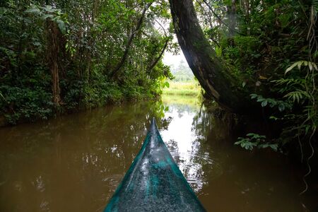 The boat ride on the water in the rainforest on the island of Madagascar