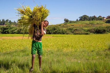 Editorial. Some People in Madagascar at their daily workのeditorial素材