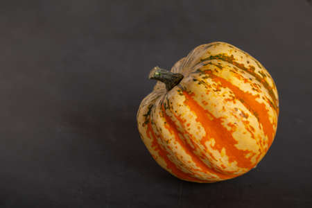 Orange, yellow pumpkin lies on a black background.の写真素材