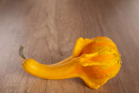 Colored beautiful pumpkin lies on a wooden background.の写真素材