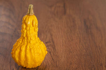 Colored beautiful pumpkin lies on a wooden background.の写真素材