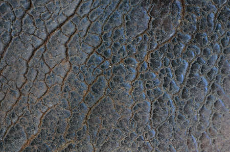 Leather background textureの写真素材