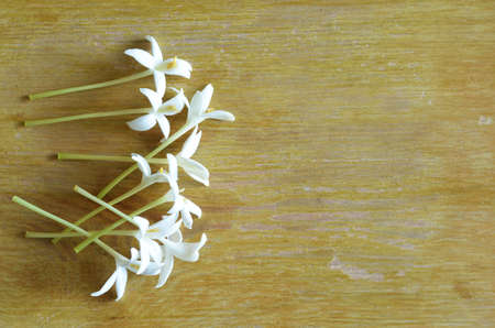 Over light on white flowersの写真素材