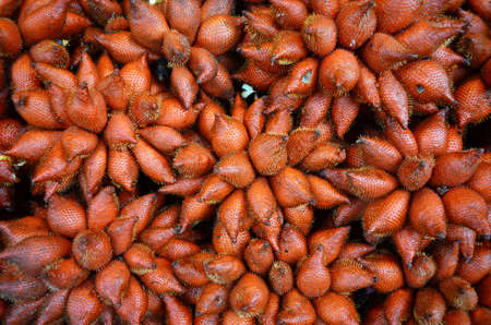 fruit waiveの写真素材