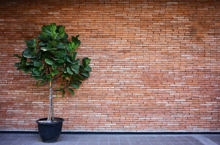 red brick background with tree