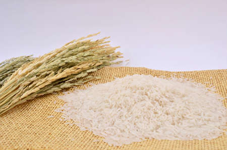 Jasmine rice and Straw on white backgroundの写真素材