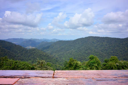 wood table and looking to see forestの写真素材