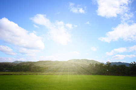farm and blue sky with sunlight